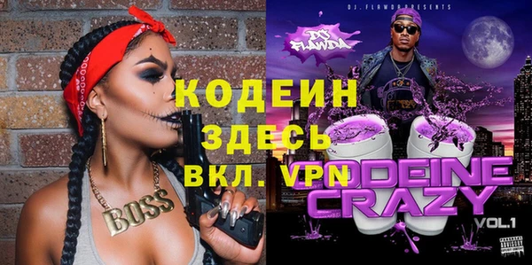 шишки Киренск