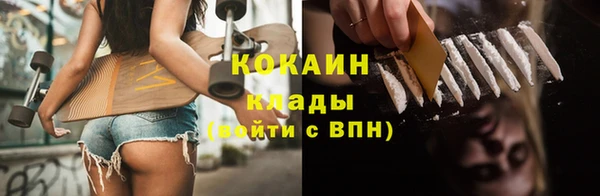 шишки Киренск