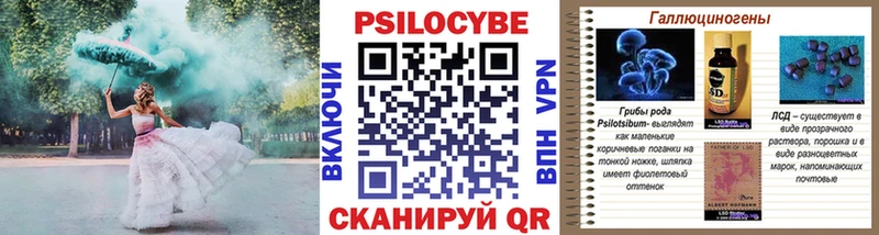 купить наркотик  shop наркотические препараты  Псилоцибиновые грибы прущие грибы  Козловка 